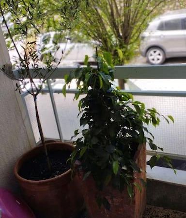 Cozy Apartment In Athens! ภายนอก รูปภาพ