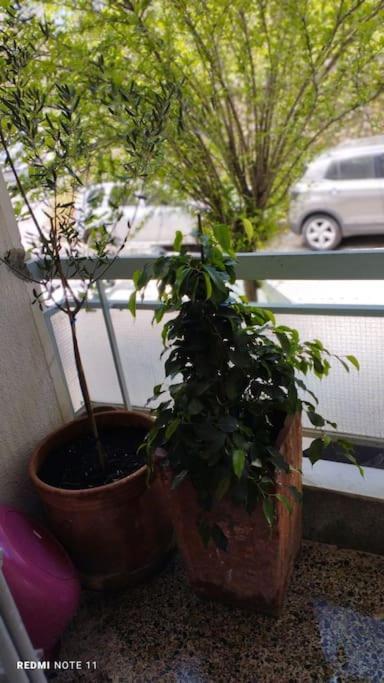 Cozy Apartment In Athens! ภายนอก รูปภาพ